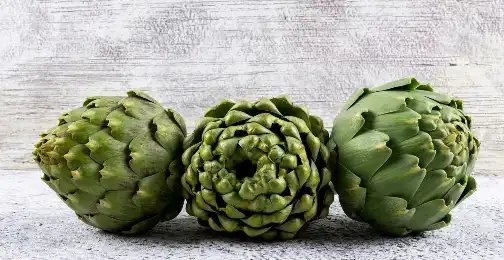 Benefits of Artichoke Extract Powder for Digestive Health